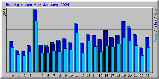 Hourly usage for January 2024