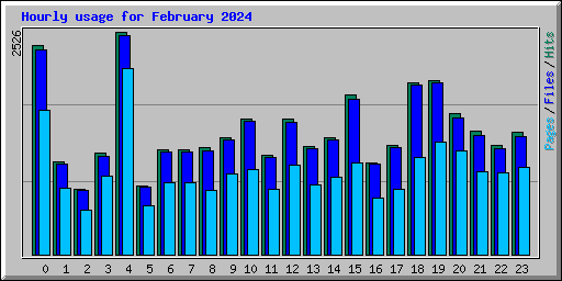 Hourly usage for February 2024