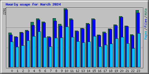 Hourly usage for March 2024