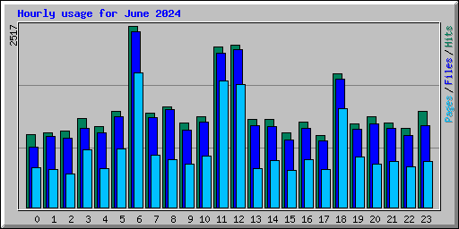 Hourly usage for June 2024