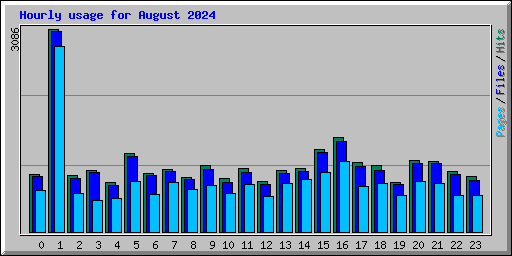 Hourly usage for August 2024
