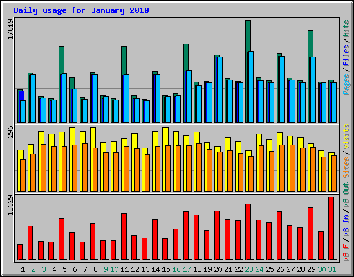 Daily usage for January 2010