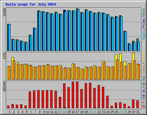 Daily usage for July 2024