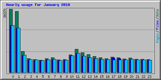 Hourly usage for January 2010