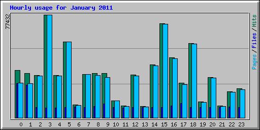 Hourly usage for January 2011