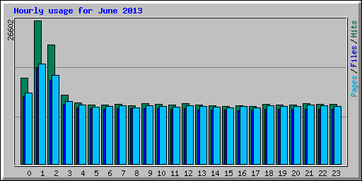 Hourly usage for June 2013