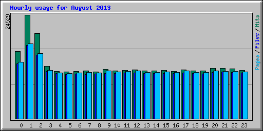 Hourly usage for August 2013