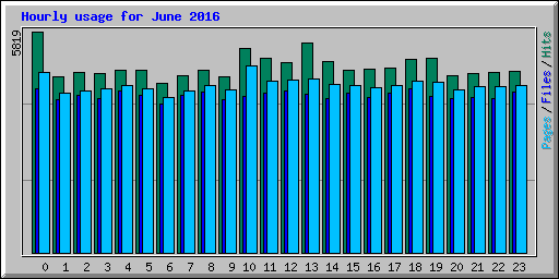 Hourly usage for June 2016