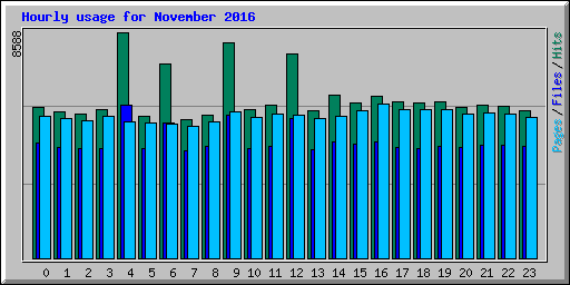 Hourly usage for November 2016