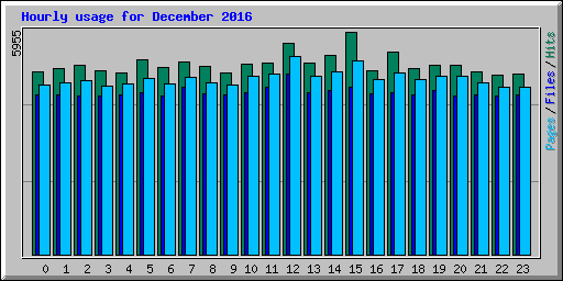 Hourly usage for December 2016