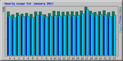 Hourly usage for January 2017