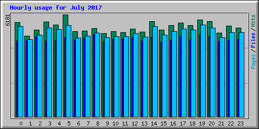 Hourly usage for July 2017