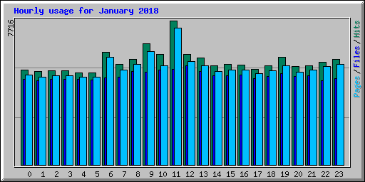 Hourly usage for January 2018