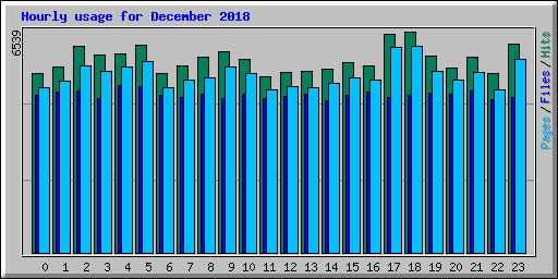 Hourly usage for December 2018