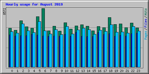 Hourly usage for August 2019
