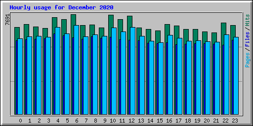 Hourly usage for December 2020
