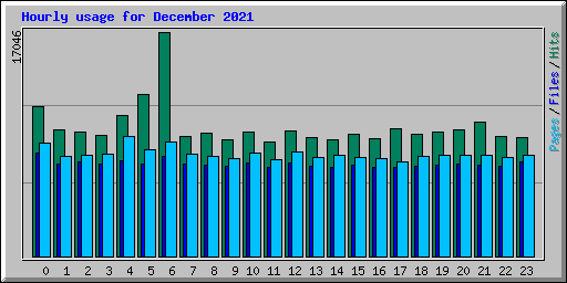 Hourly usage for December 2021