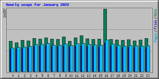 Hourly usage for January 2022