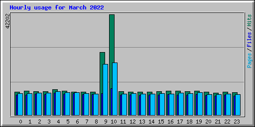 Hourly usage for March 2022