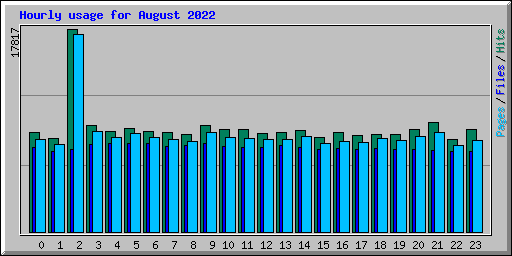 Hourly usage for August 2022