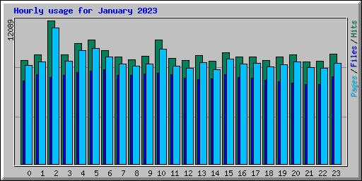 Hourly usage for January 2023