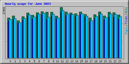 Hourly usage for June 2023