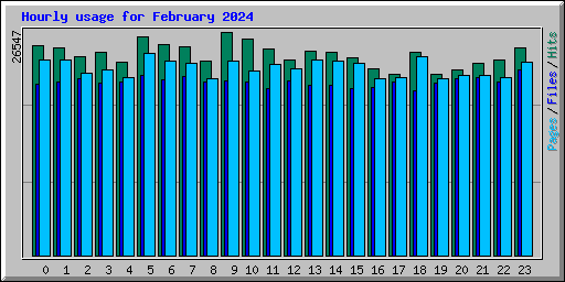 Hourly usage for February 2024