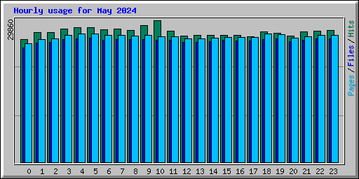 Hourly usage for May 2024