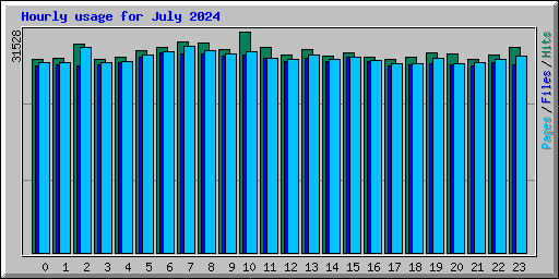 Hourly usage for July 2024