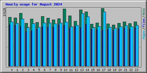Hourly usage for August 2024