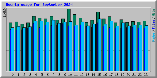 Hourly usage for September 2024